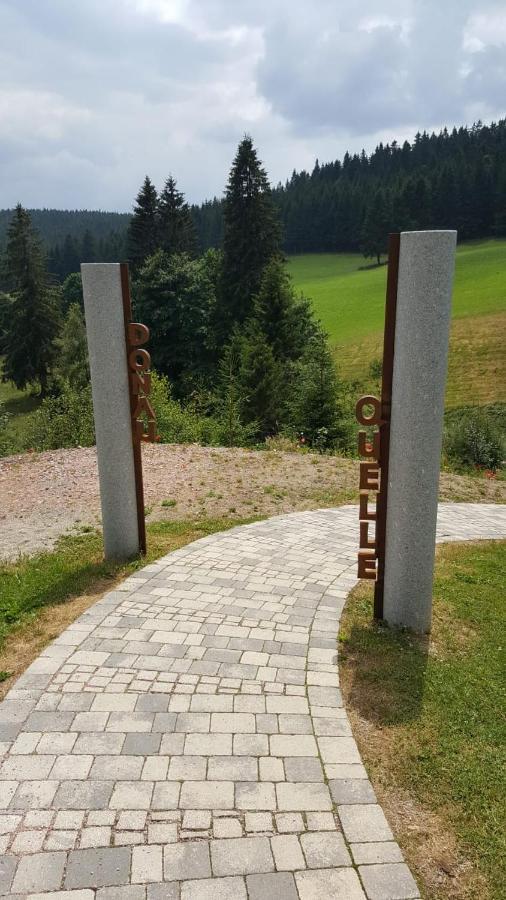Schwarzwald Geht Immer Fewo 60 Qm Mit Grossem Suedbalkon, Wlan Und Magenta Tv Schönwald Bagian luar foto