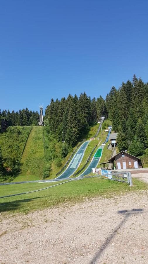 Schwarzwald Geht Immer Fewo 60 Qm Mit Grossem Suedbalkon, Wlan Und Magenta Tv Schönwald Bagian luar foto