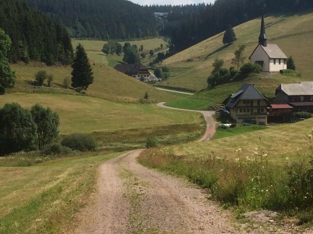 Schwarzwald Geht Immer Fewo 60 Qm Mit Grossem Suedbalkon, Wlan Und Magenta Tv Schönwald Bagian luar foto