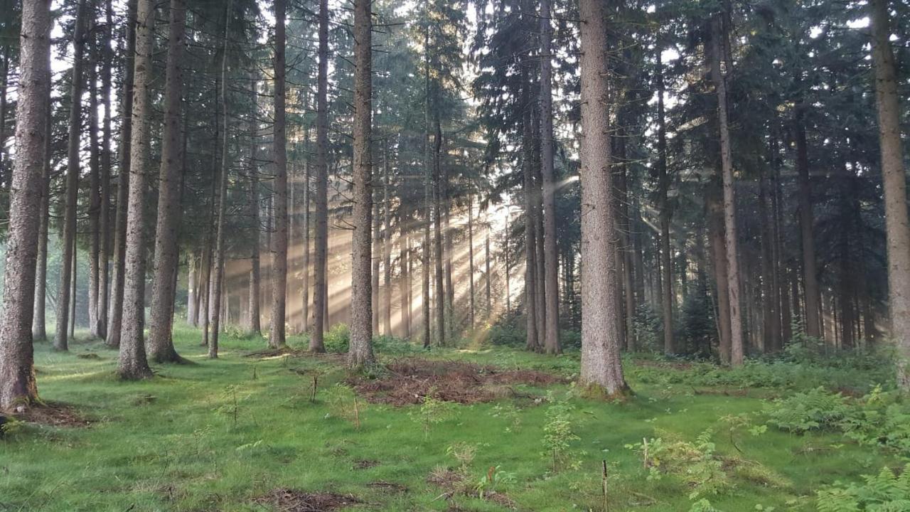 Schwarzwald Geht Immer Fewo 60 Qm Mit Grossem Suedbalkon, Wlan Und Magenta Tv Schönwald Bagian luar foto