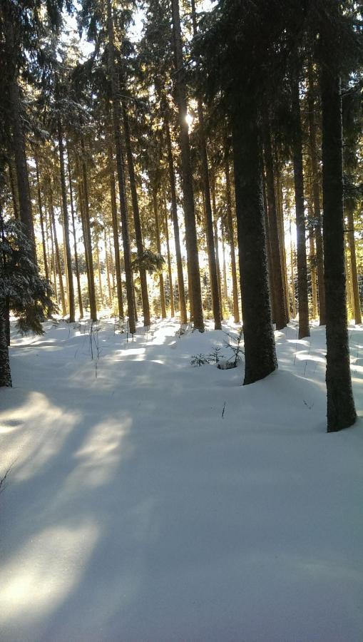 Schwarzwald Geht Immer Fewo 60 Qm Mit Grossem Suedbalkon, Wlan Und Magenta Tv Schönwald Bagian luar foto